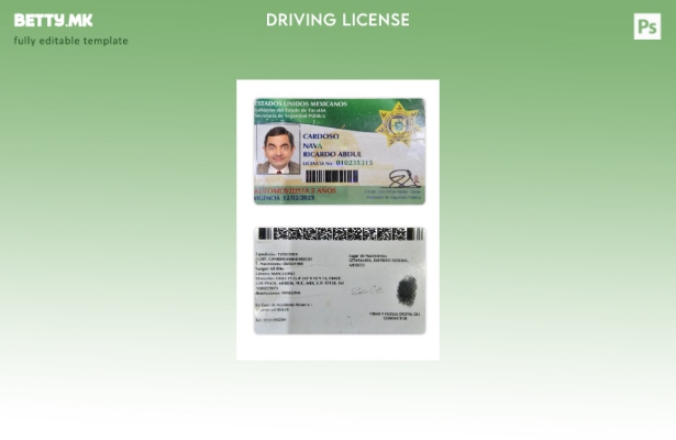 Модерен стил шаблон за државна возачка дозвола во Мексико Јукатан